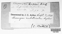 Image Associated With the Occurence